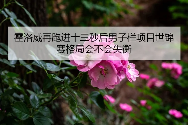 霍洛威再跑进十三秒后男子栏项目世锦赛格局会不会失衡