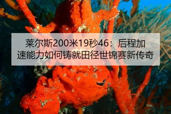 lai-er-si-mi-miao-hou-cheng-jia-su-neng-li-ru-he-zhu-jiu-tian-jing-shi-jin-sai-xin-chuan-qi-3-179.jpg