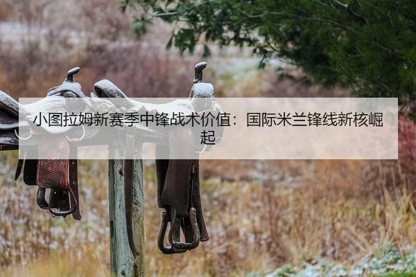 小图拉姆新赛季中锋战术价值：国际米兰锋线新核崛起
