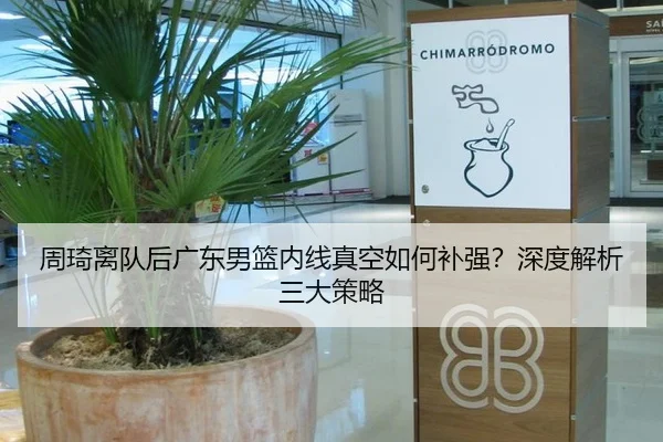 周琦离队后广东男篮内线真空如何补强？深度解析三大策略